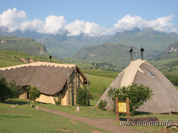 didima camp accommodation5.png